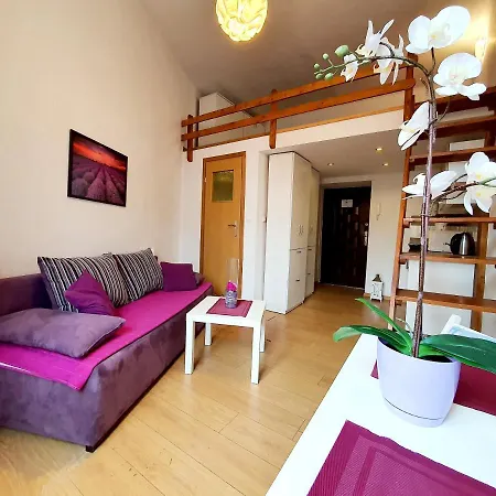 Cool Apartment